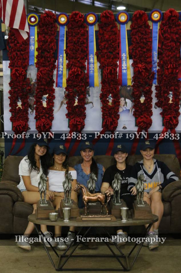 Proof 19YN_42833