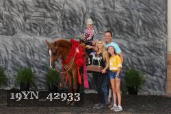 19YN_42933 proof