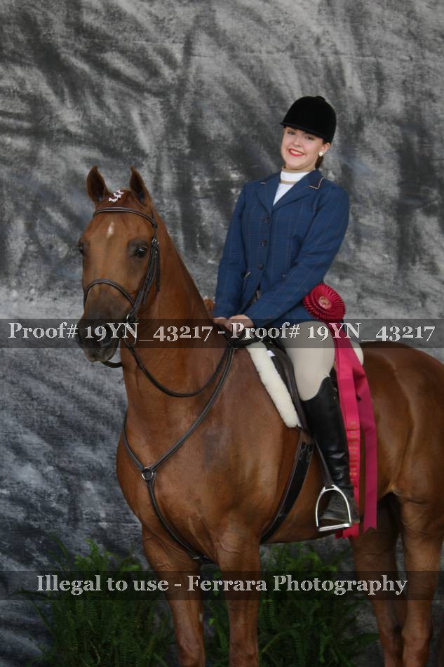 Proof 19YN_43217