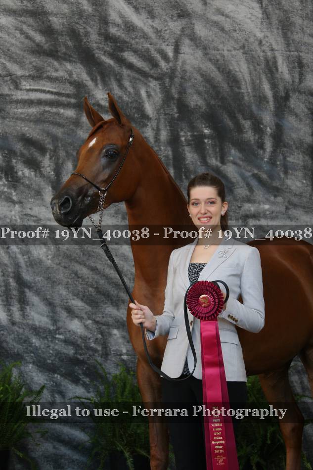 Proof 19YN_40038