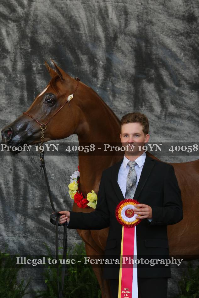 Proof 19YN_40058