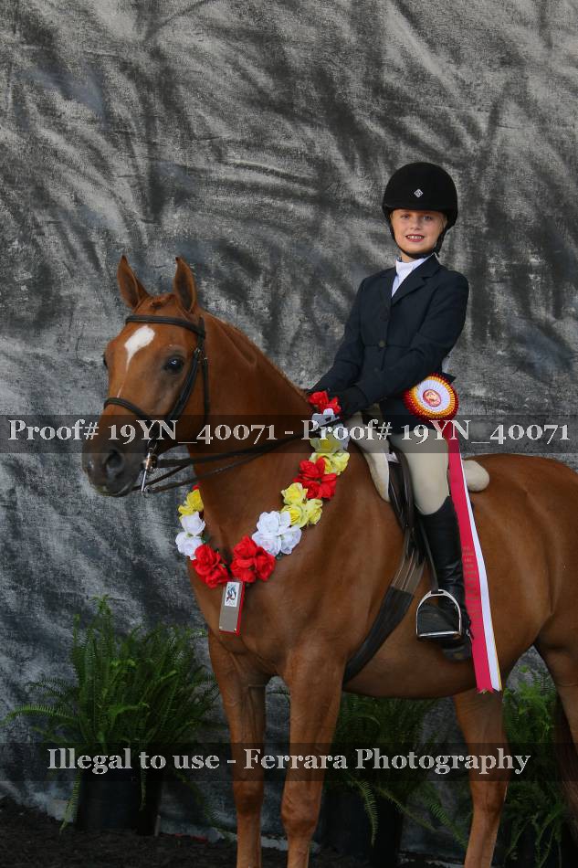 Proof 19YN_40071