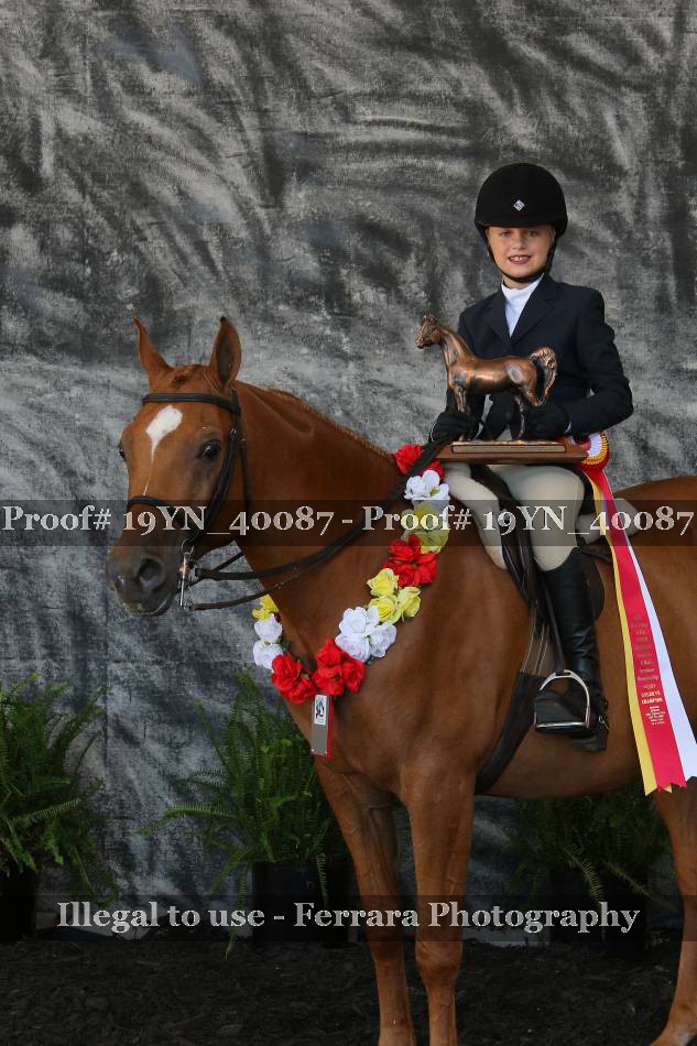 Proof 19YN_40087