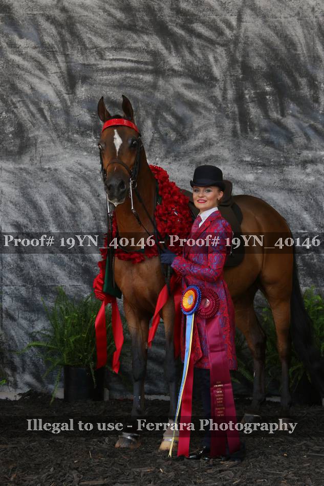 Proof 19YN_40146