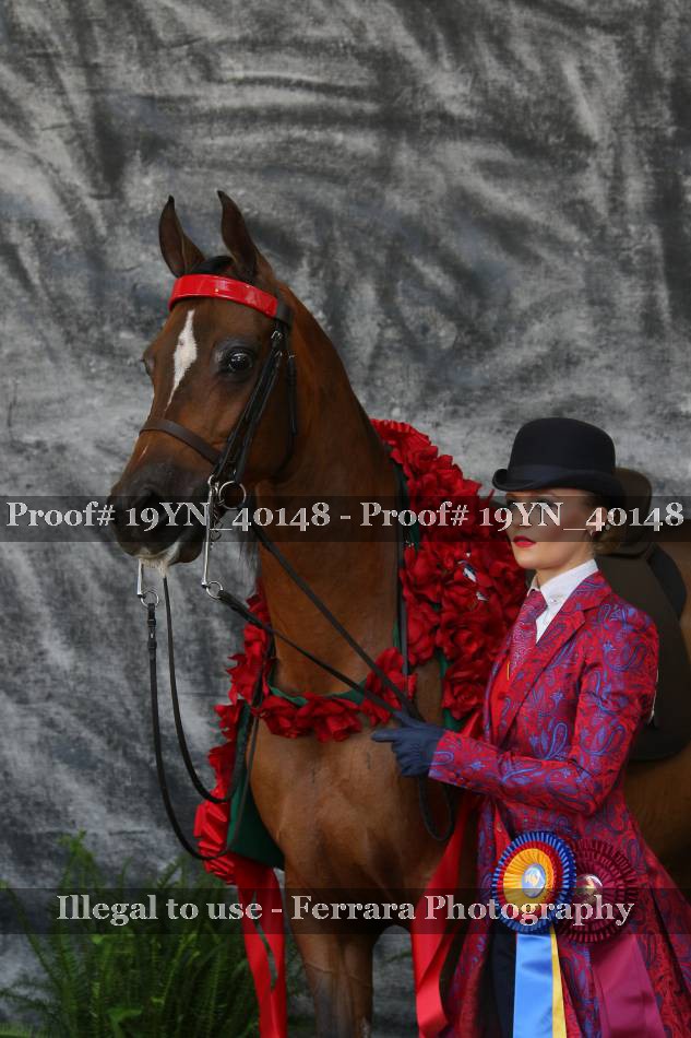 Proof 19YN_40148