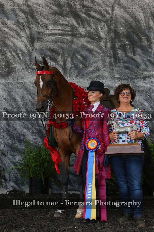Proof 19YN_40153
