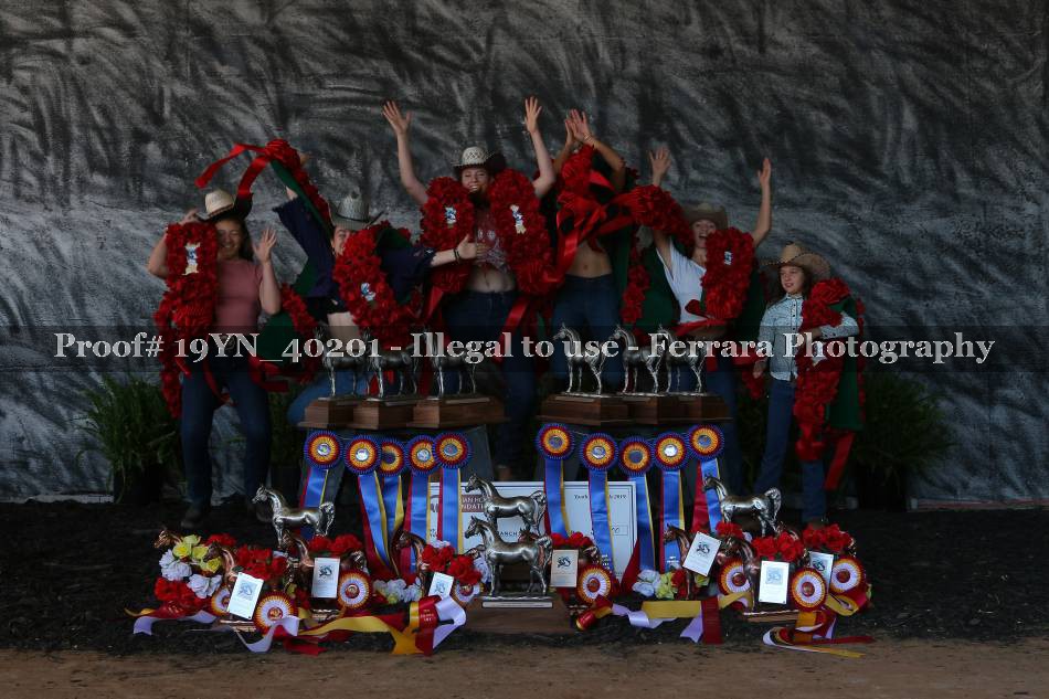Proof 19YN_40201