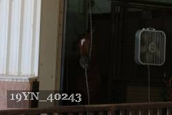 19YN_40243 proof