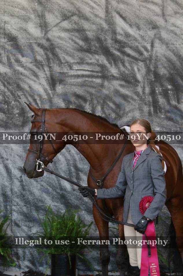 Proof 19YN_40510