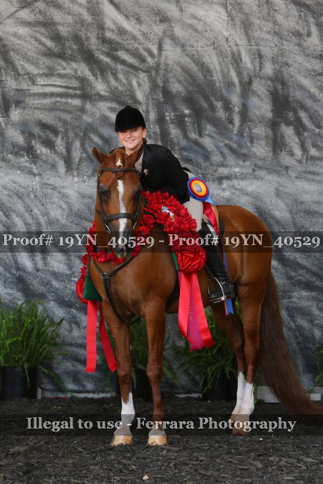 Proof 19YN_40529