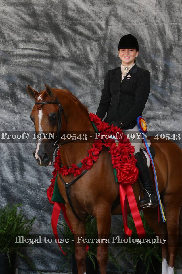 Proof 19YN_40543