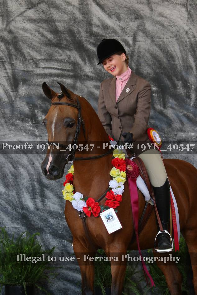 Proof 19YN_40547