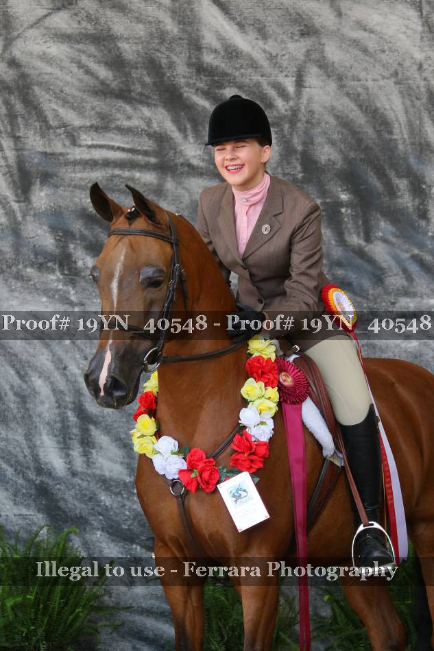 Proof 19YN_40548