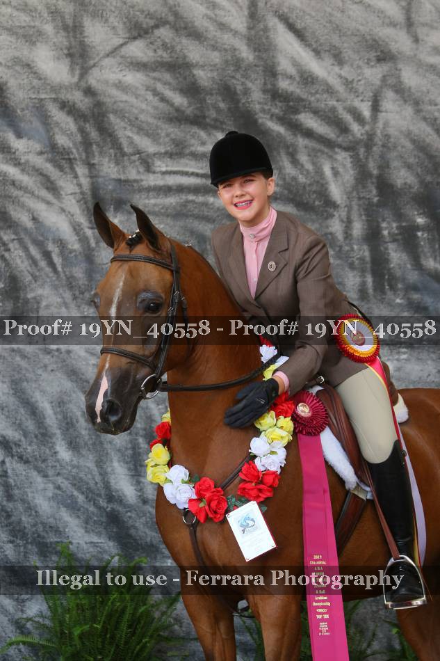 Proof 19YN_40558