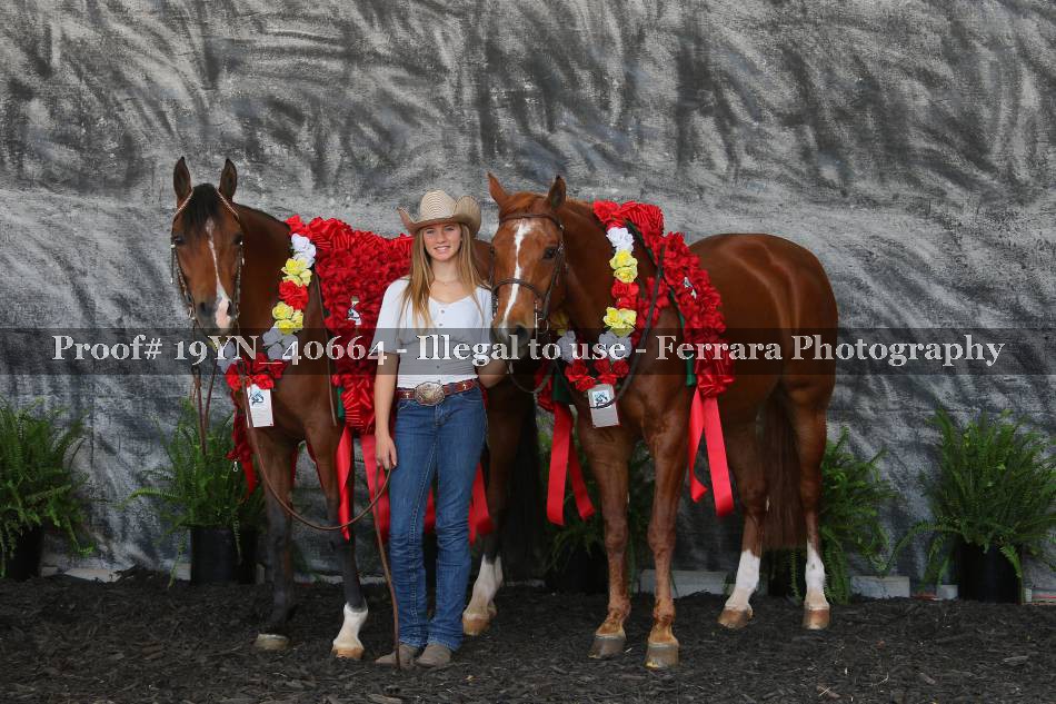 Proof 19YN_40664