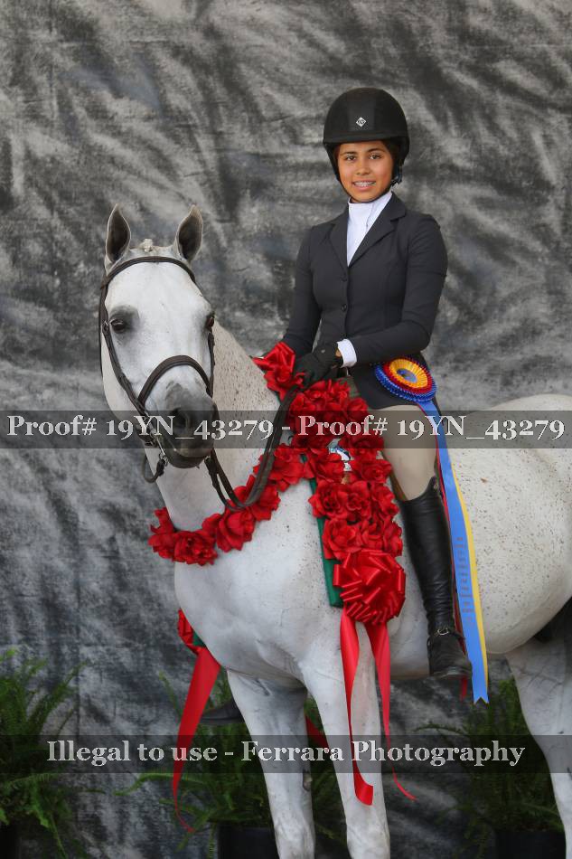 Proof 19YN_43279