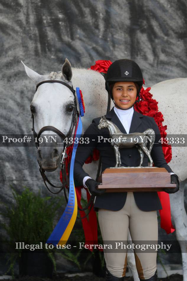 Proof 19YN_43333