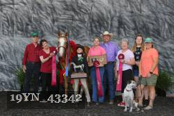19YN_43342 proof