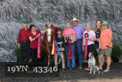 19YN_43346 proof
