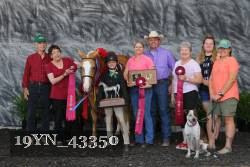 19YN_43350 proof