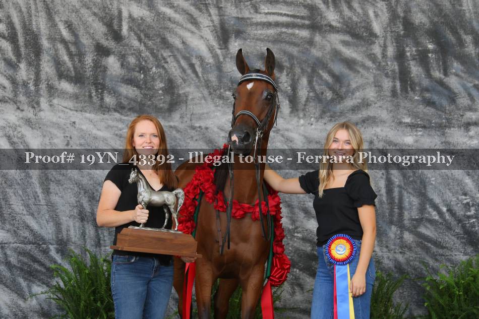 Proof 19YN_43392