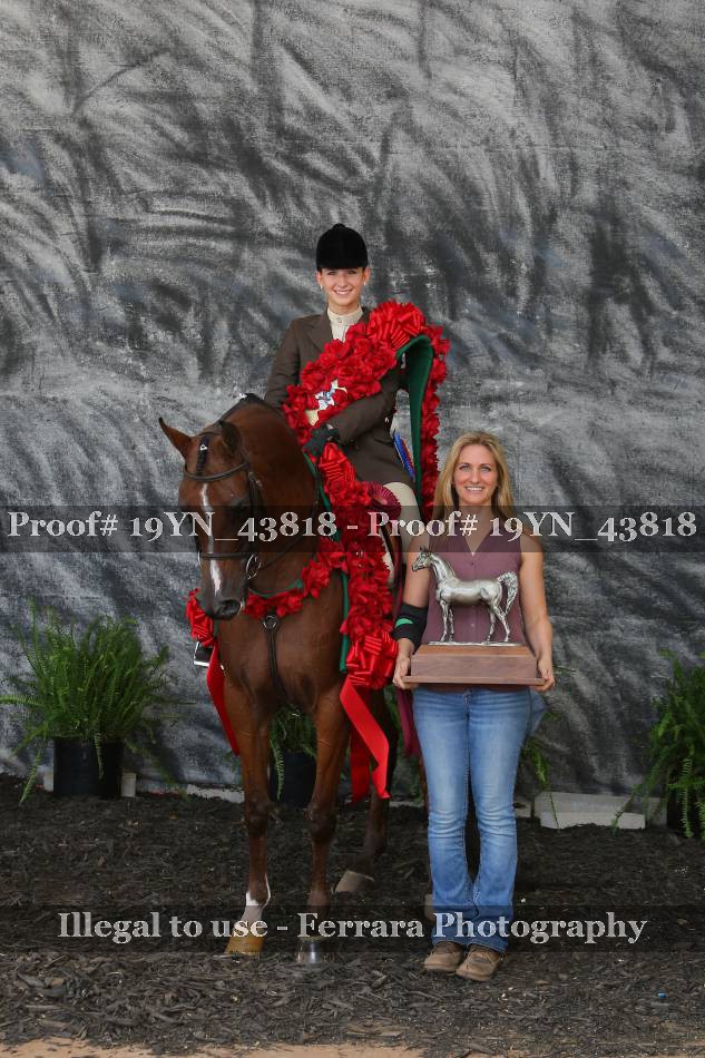 Proof 19YN_43818
