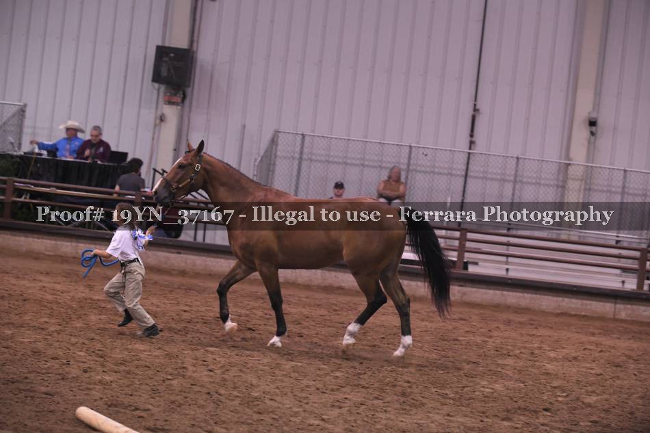 Proof 19YN_37167