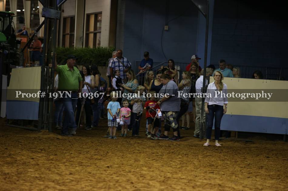 Proof 19YN_10367