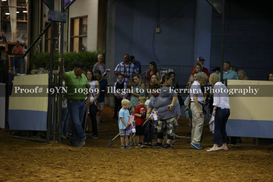 Proof 19YN_10369