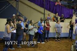 19YN_10388 proof