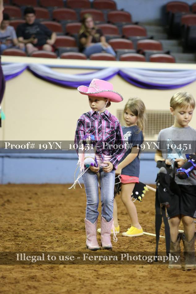 Proof 19YN_10451