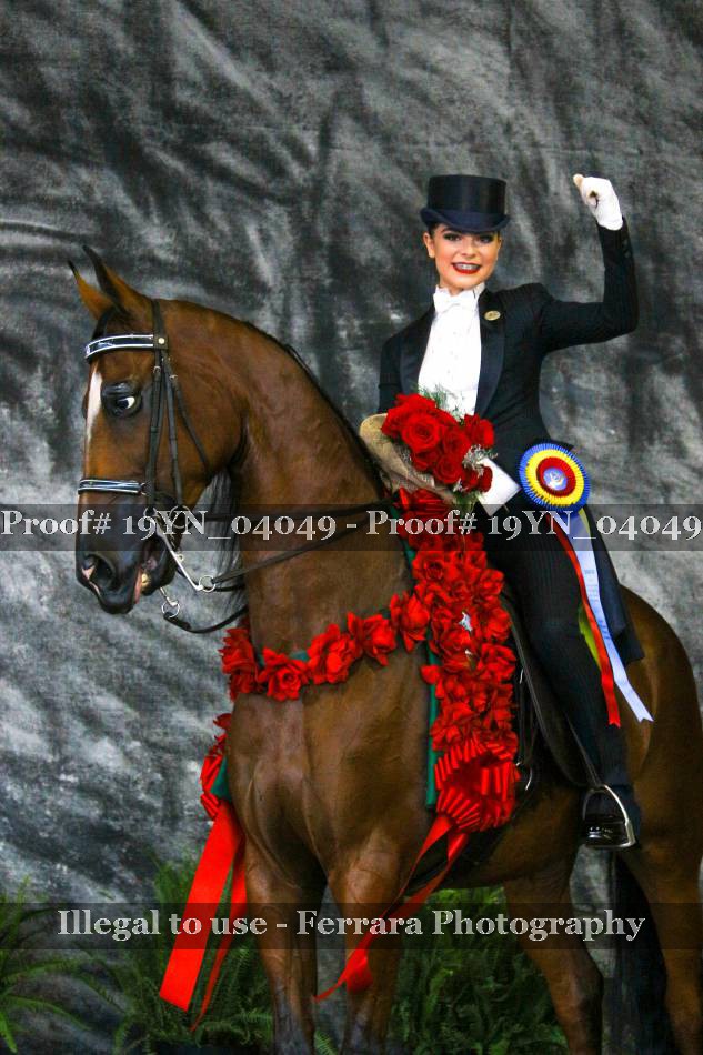 Proof 19YN_04049