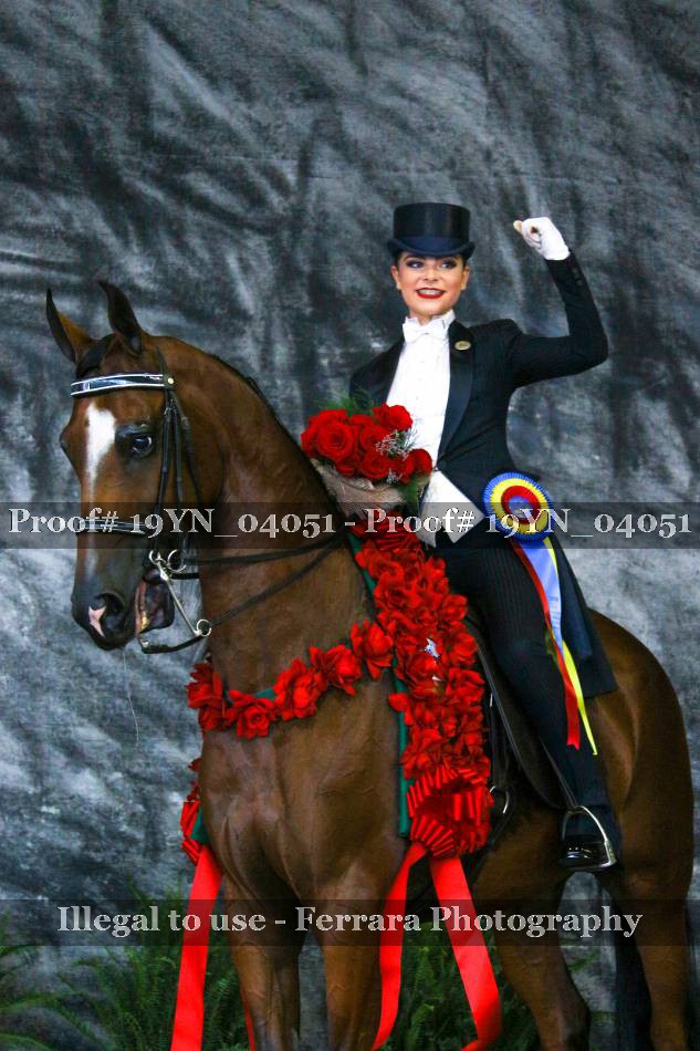 Proof 19YN_04051