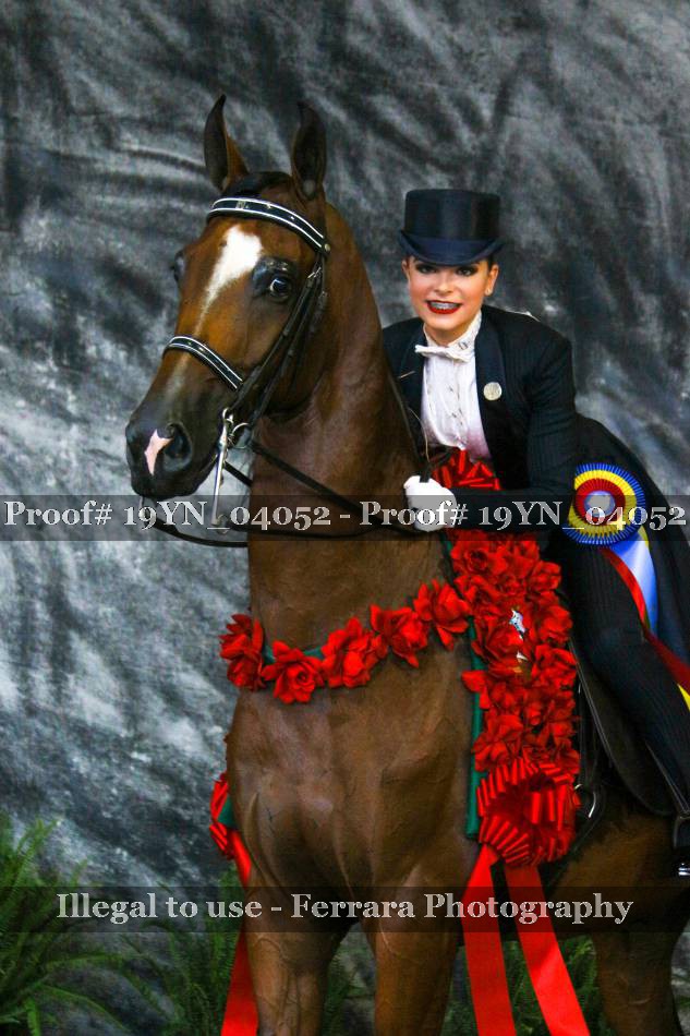 Proof 19YN_04052