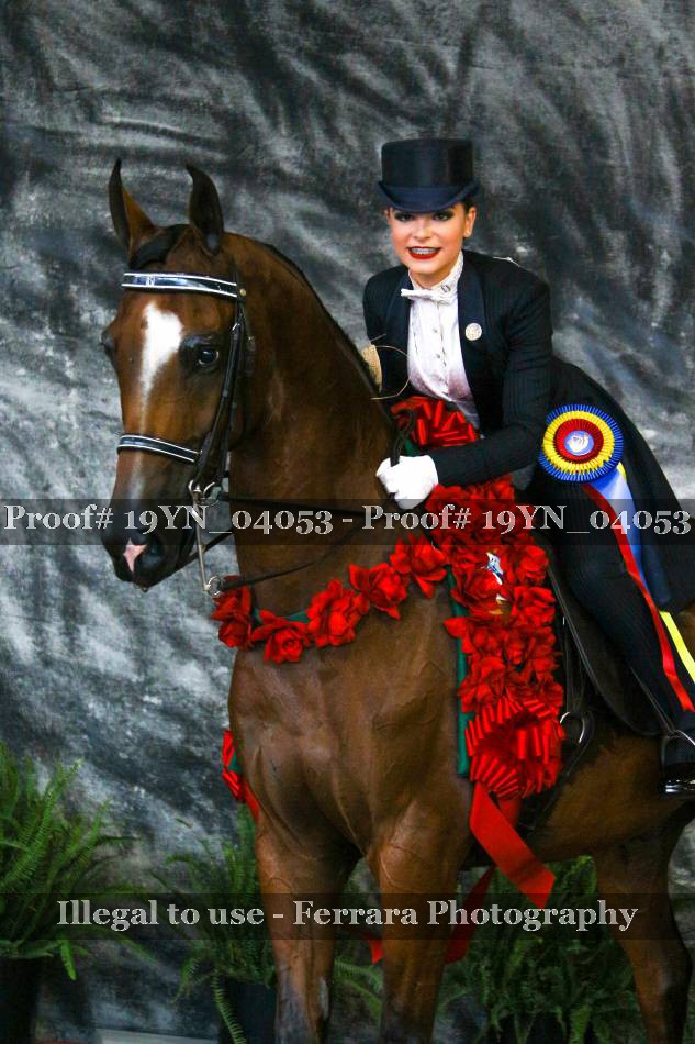 Proof 19YN_04053