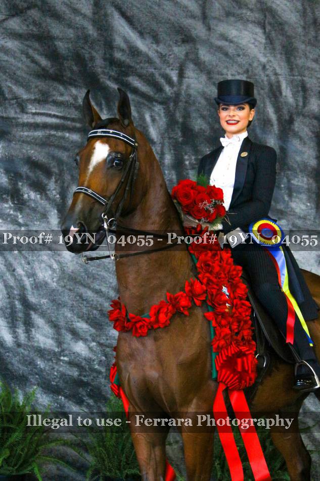 Proof 19YN_04055