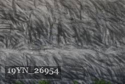 19YN_26954 proof