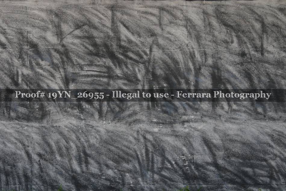 Proof 19YN_26955