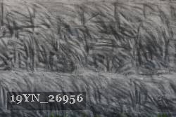 19YN_26956 proof