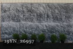 19YN_26957 proof