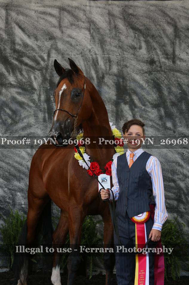 Proof 19YN_26968