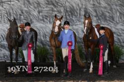 19YN_27204 proof