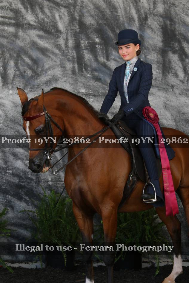 Proof 19YN_29862
