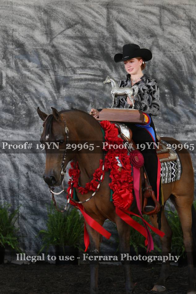 Proof 19YN_29965