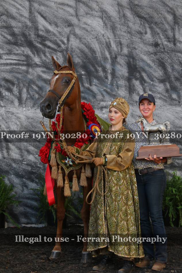 Proof 19YN_30280
