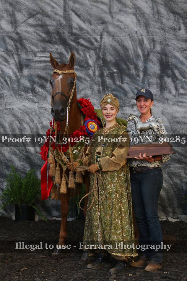 Proof 19YN_30285