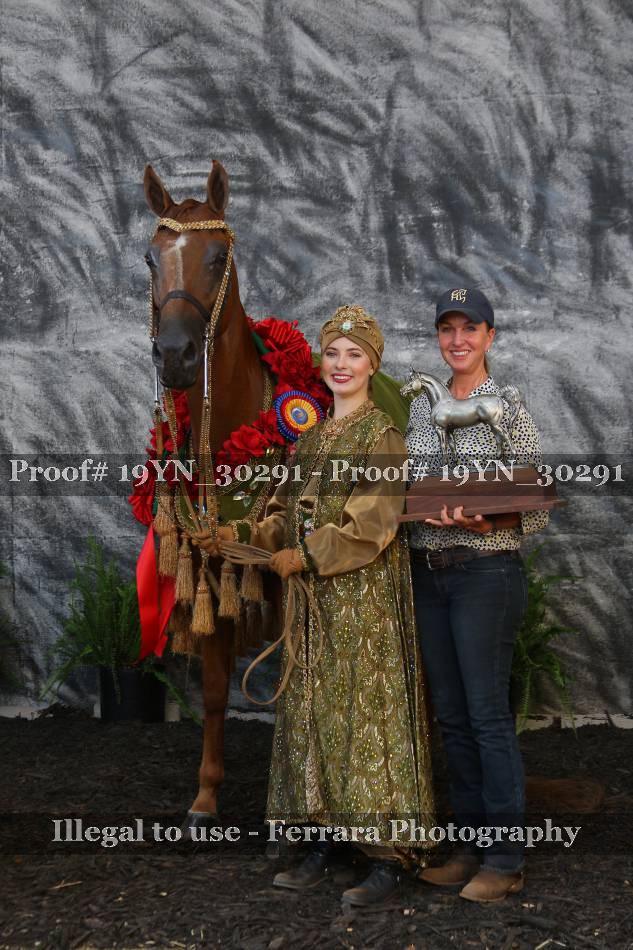Proof 19YN_30291