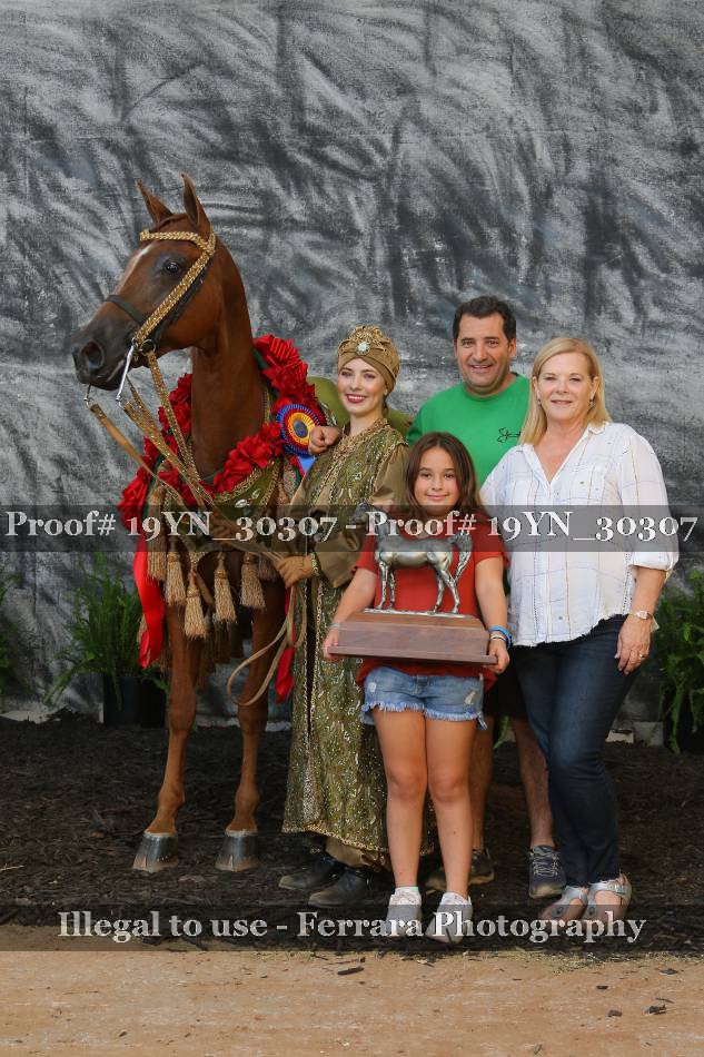 Proof 19YN_30307