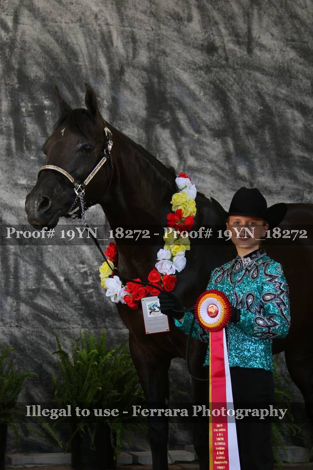 Proof 19YN_18272
