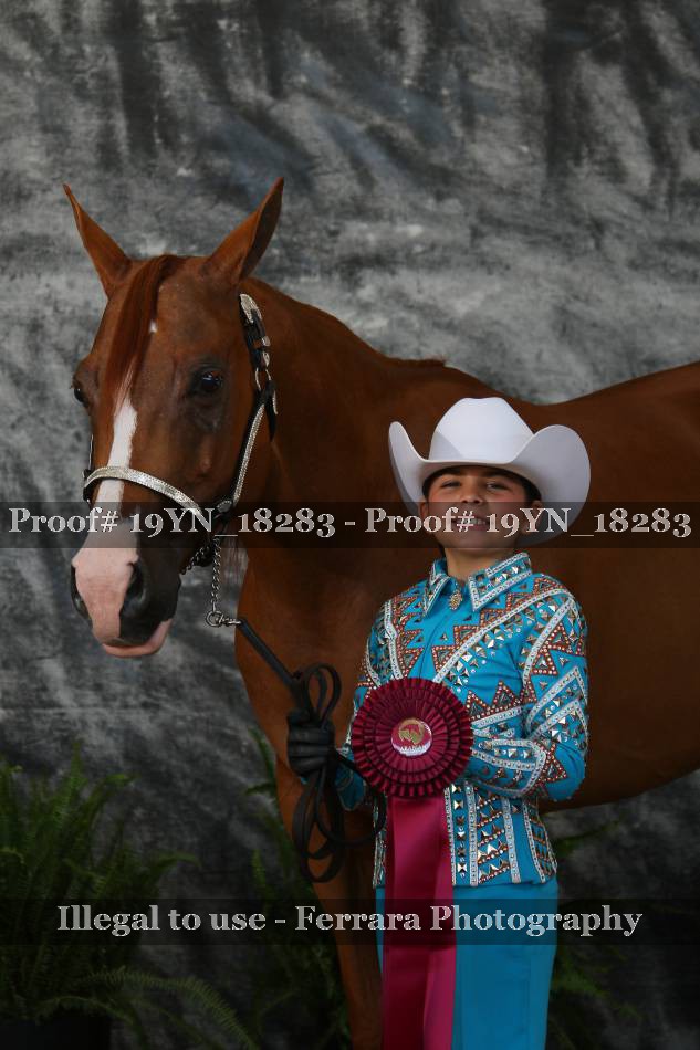Proof 19YN_18283